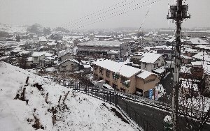 e0122199_1659399.jpg