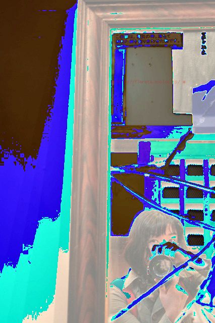 f0083400_22401952.jpg