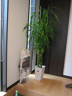 f0200901_0385327.jpg