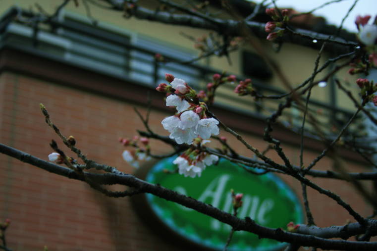 f0031304_8475896.jpg