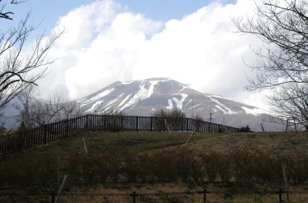 e0078510_2353215.jpg