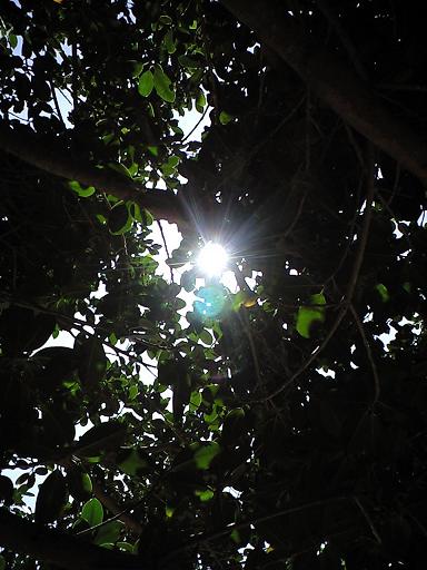 c0160014_21481386.jpg