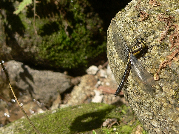 e0002314_21105916.jpg