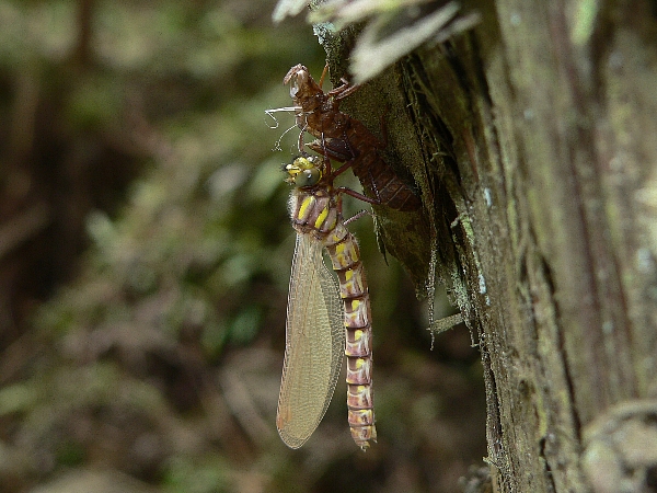 e0002314_218507.jpg