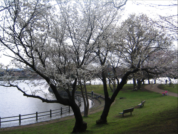 c0219815_22174655.jpg