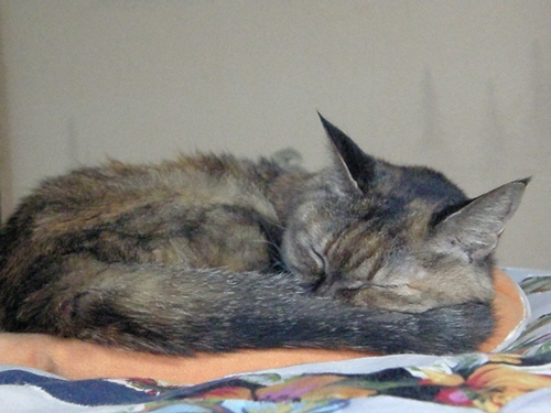 c0158916_2310758.jpg