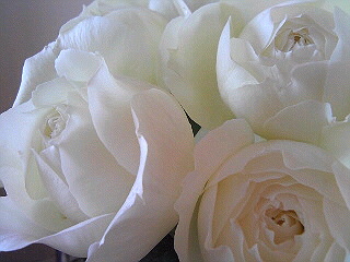 a0052621_11154082.jpg