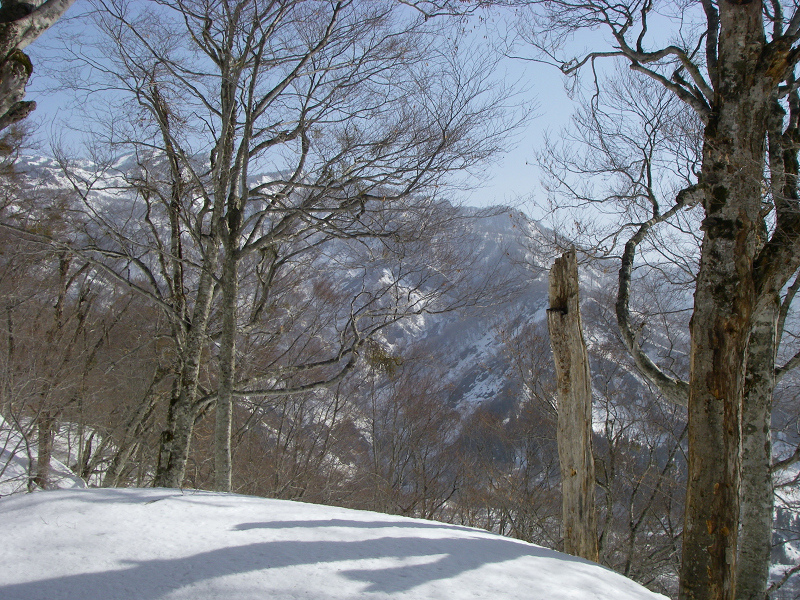 c0057221_21504117.jpg