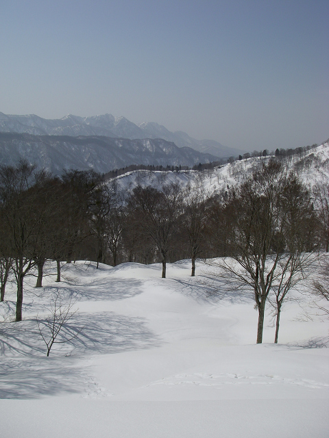 c0057221_21525100.jpg