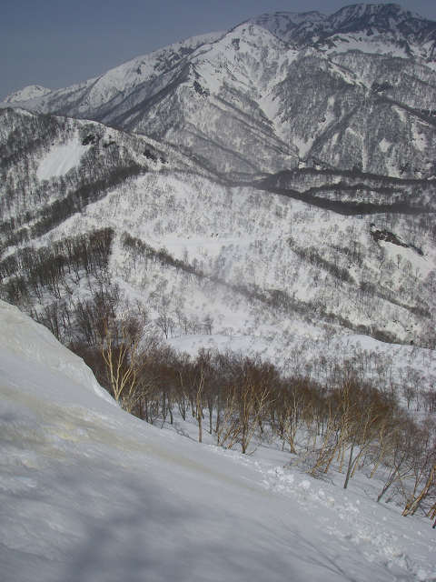 c0057221_2156967.jpg