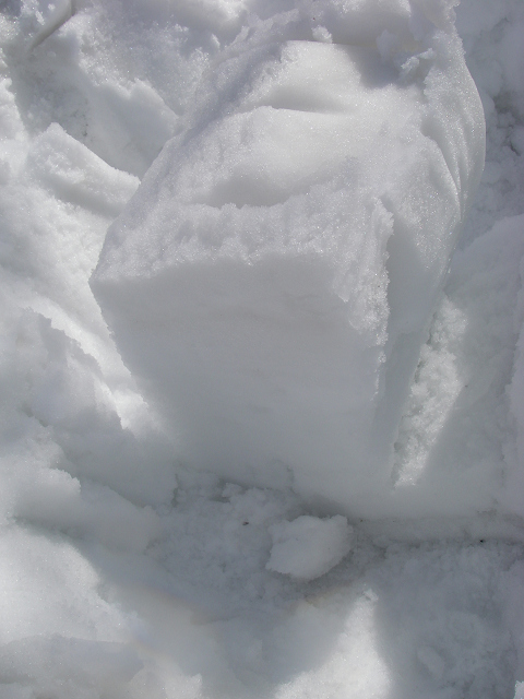 c0057221_21574133.jpg