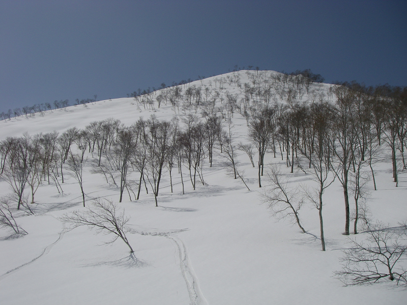 c0057221_2281016.jpg