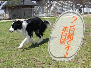 e0179321_2026241.jpg