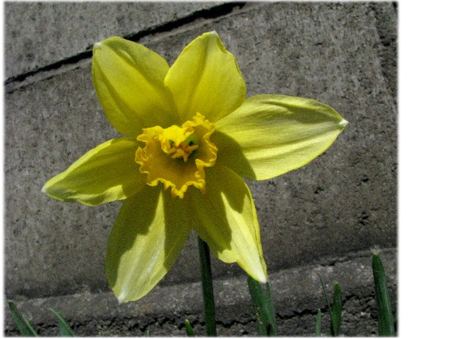 a0004023_10165665.jpg