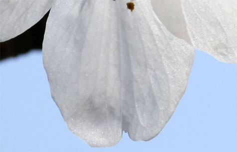 f0137324_2159317.jpg