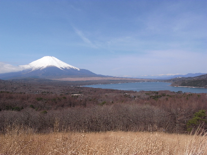 f0103126_21295040.jpg