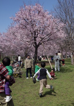 f0136828_2125787.jpg