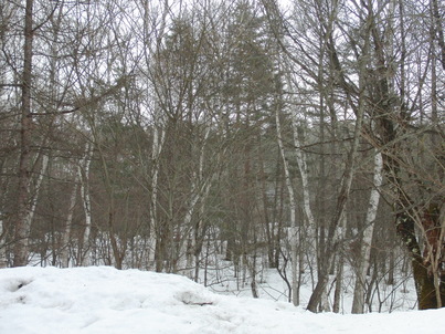 e0025240_23384297.jpg