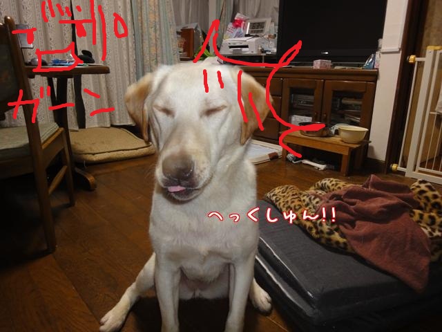 c0218443_19591786.jpg