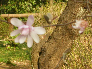 e0069647_11152288.jpg