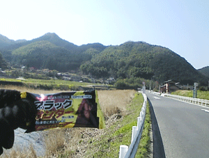f0229250_17493391.gif