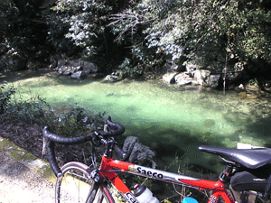 f0229250_17503595.gif