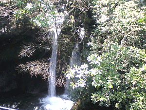f0229250_17524350.gif