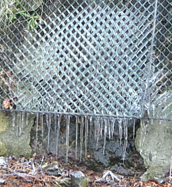 f0229250_17594712.gif