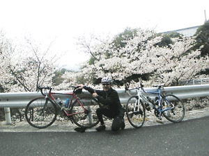 f0229250_20475980.gif