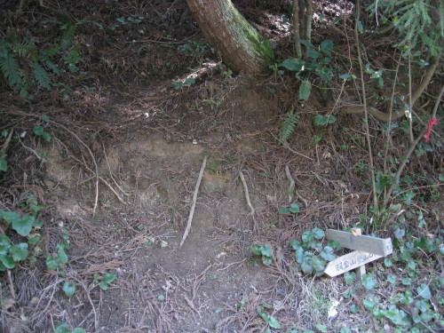 c0179351_22273394.jpg