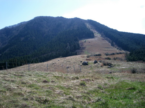 c0179351_22303930.jpg