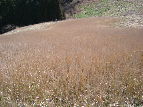 c0179351_22314063.jpg