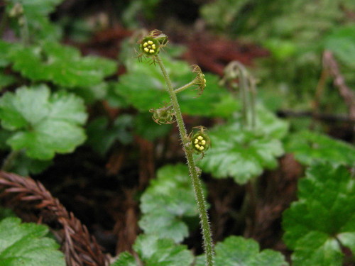 c0179351_22394655.jpg