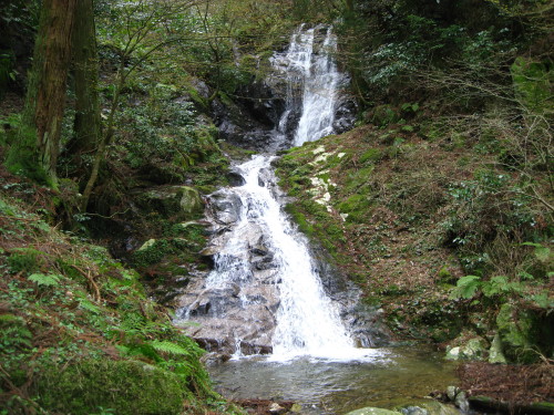 c0179351_22405741.jpg