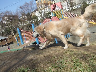 c0097558_2216750.jpg