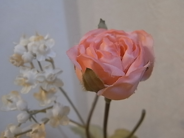 e0196261_1915217.jpg