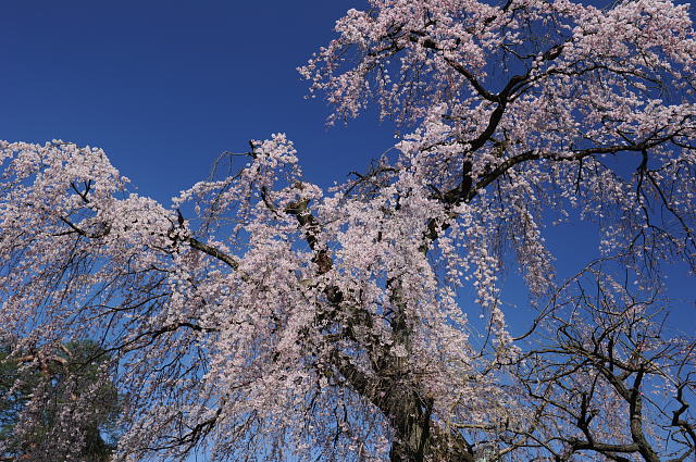 f0222161_2215230.jpg
