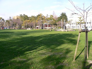 f0106664_7113797.jpg