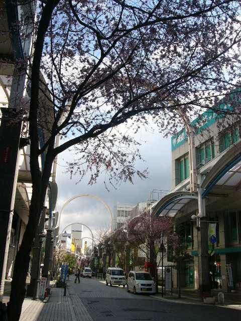 a0111166_8883.jpg