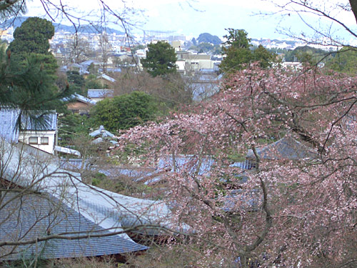 a0135367_04216100.jpg