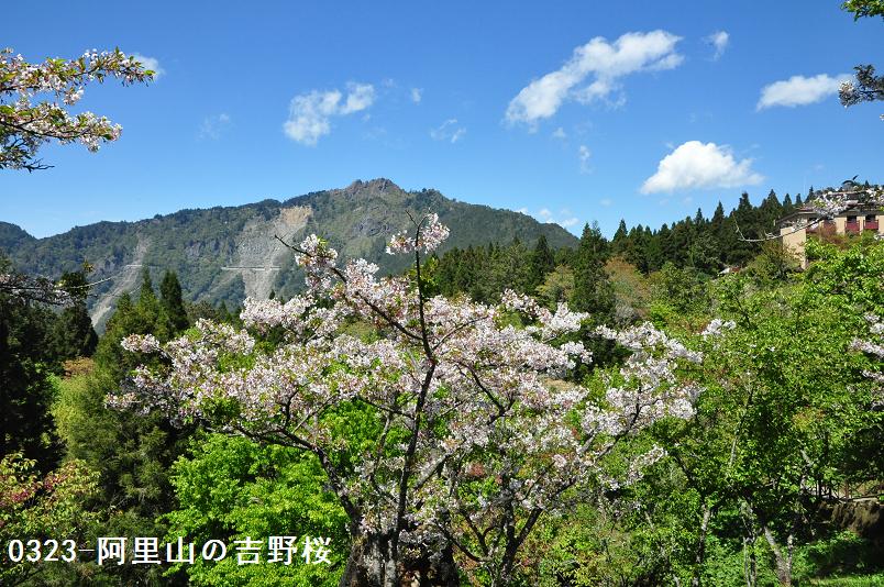 f0220774_1755231.jpg