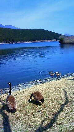 c0107180_2155523.jpg