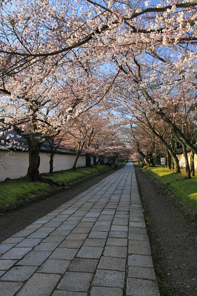 e0051888_23562514.jpg