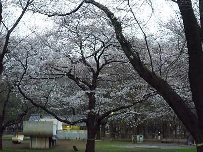 c0123890_22145897.jpg