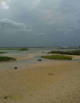 f0165392_062013.jpg