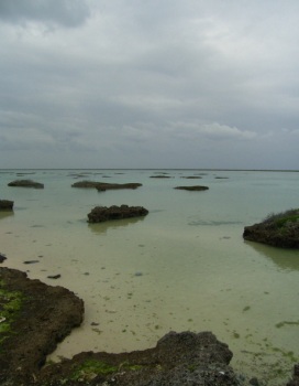 f0165392_084919.jpg