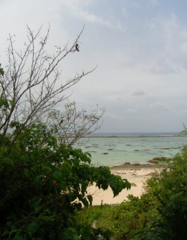 f0165392_08810.jpg
