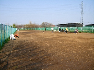 e0158895_20315128.jpg