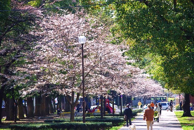 c0125596_22123935.jpg