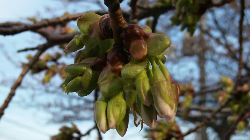 e0083097_23493328.jpg